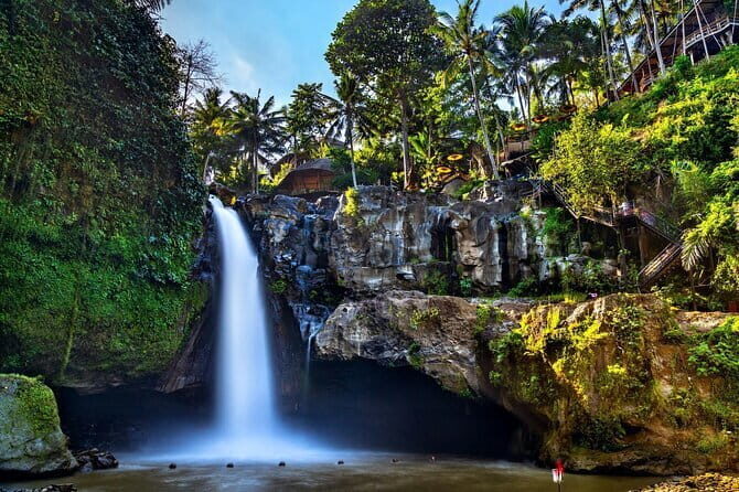 Bali Full-Day Tours : Waterfall and Ubud Destination Trip - Key highlights that make this Ubud day work