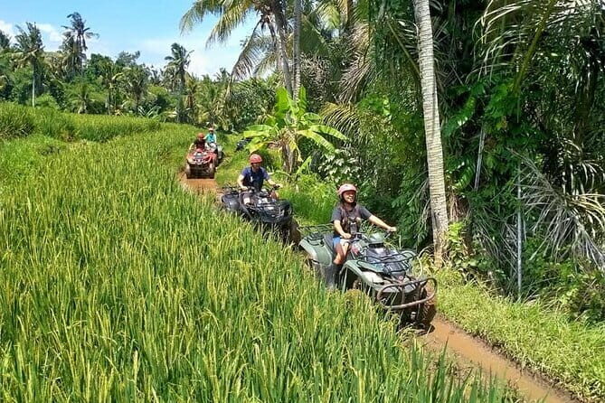Bali Full-Day Tours : Waterfall and Ubud Destination Trip - Lunch in Ubud: included, but keep it flexible