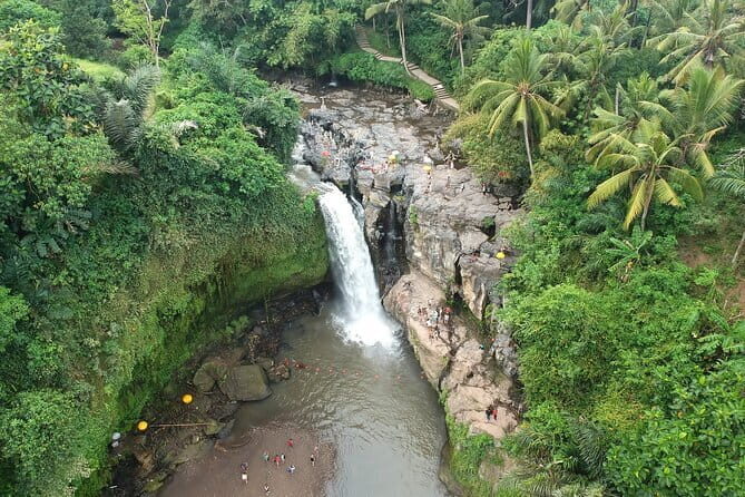 Bali Full-Day Tours : Waterfall and Ubud Destination Trip - Tegalalang Rice Terrace: 1 hour for iconic views