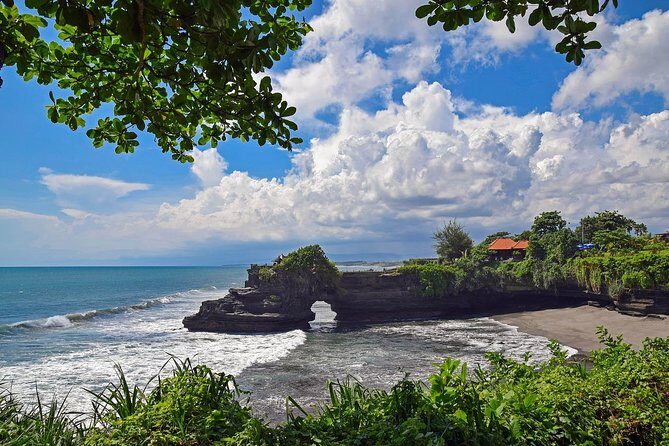 Bali Half Day Tour - Taman Ayun temple, Alas Kedaton,Tanah lot sunset Dinner - Alas Kedaton Monkey Forest: Tame Monkeys, Real Sanctuary Energy
