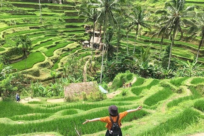Bali Highlight Private Packages Tours 3 Days - The itinerary’s logic: culture by day, coast by day