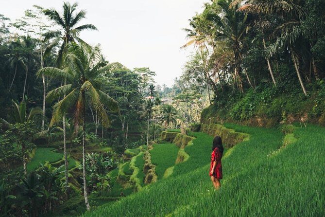 Bali Highlights : Nature, Waterfall, Rice Terraces and Volcano - Key highlights at a glance