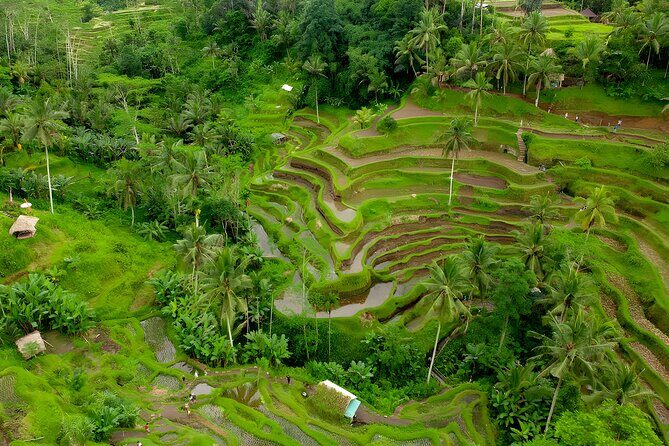 Bali Horse Riding Activity and Full-Day Trip in Ubud - Celuk Village: Jewelry Craft You Can Actually See