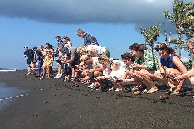 Bali Horse Riding and Turtle Release at Saba Beach - Seminyak pickup and the ride-your-own-day convenience