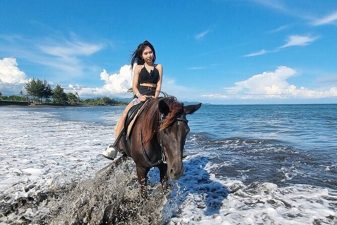 Bali Horse Riding and Turtle Release at Saba Beach - Lunch at Bebek Uma Menuh Restaurant: reset without the scramble