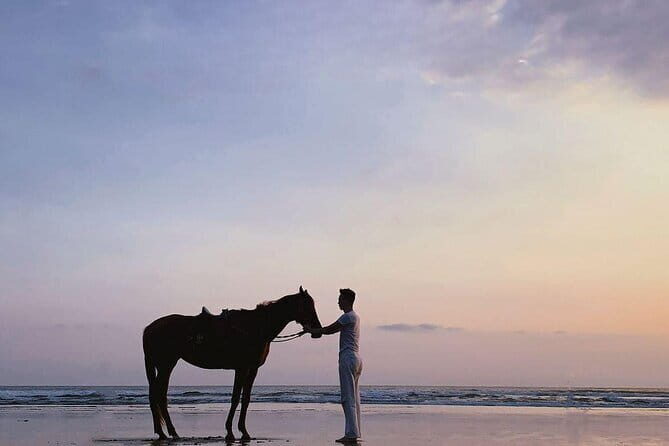 Bali Horse Riding Sanur Beach include Transport - Horse care, helmets, and how to judge the setup on arrival