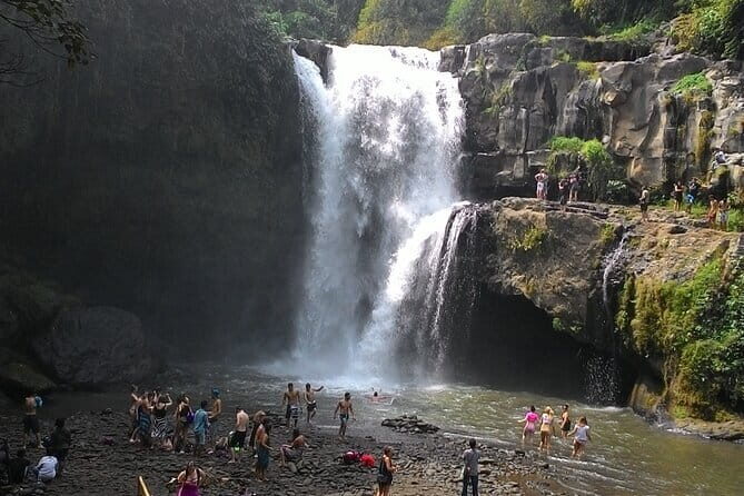 Bali Horse Riding, Waterfall, Rice Terrace, Lunch - All Inclusive - Uma Pakel Agro Tourism coffee plantation stop
