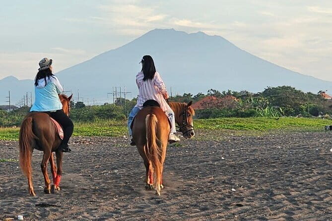 Bali Horse Riding, Waterfall, Rice Terrace, Lunch - All Inclusive - Getting picked up (and why the timing matters)
