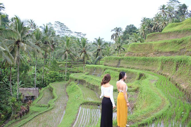 Bali Instagram Most Iconic Spots Private Tour - Lempuyang Temple: the Gate of Heaven and the 1,700+ steps test