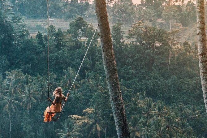Bali Instagram Most Iconic Spots Private Tour - Price and logistics: what $95 buys you (and what it doesn’t)