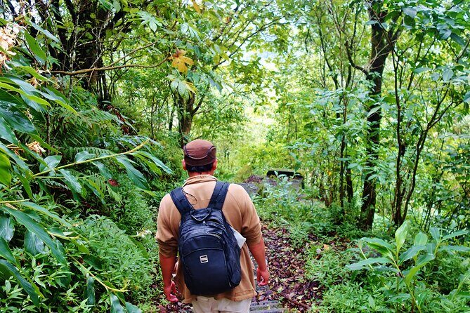 Bali Jungle Trekking in Beautiful Rainforest - Price and value: what $80 buys you in real terms