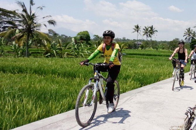 Bali Mountains and Villages Cycling Tour - Key Highlights You’ll Actually Notice