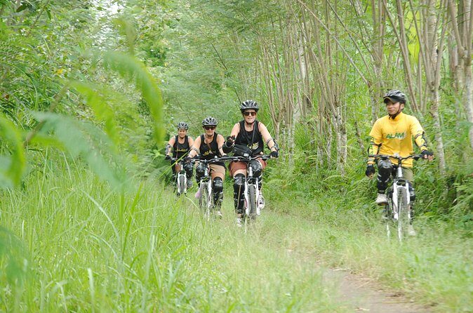 Bali Mountains and Villages Cycling Tour - Why This Bali Cycling Route Works So Well