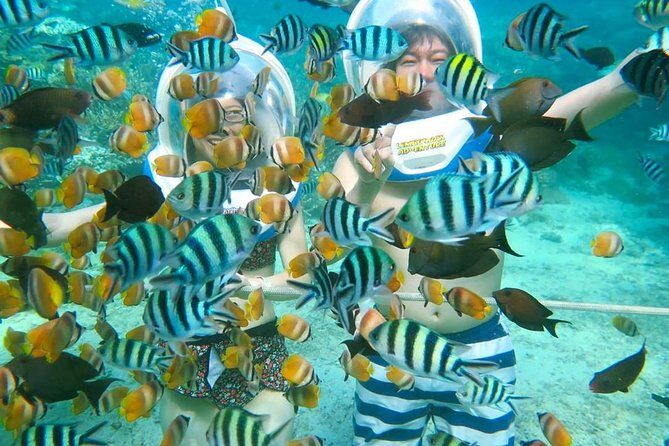 Bali Ocean Walker - Key highlights at a glance
