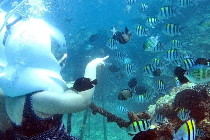Bali Ocean Walker - The oxygen helmet setup: how you breathe and why you don’t need to swim