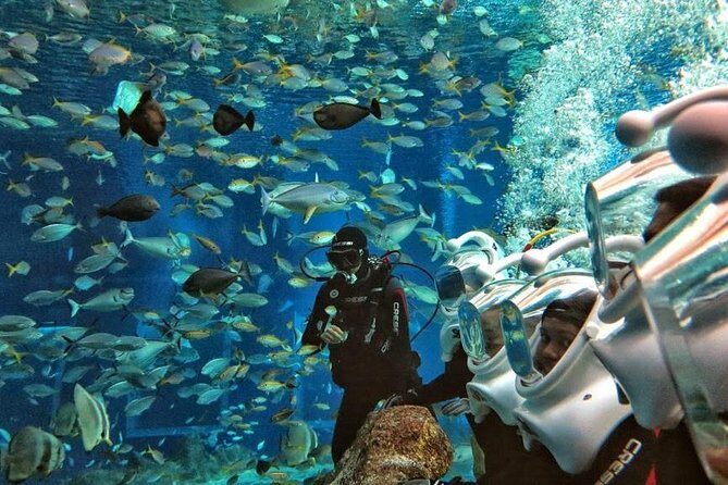 Bali Ocean Walker - Getting ready on land: changing rooms, safety gear, and your instructor briefing