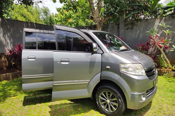 Bali Private Car and Customize Tour With English Speaking Driver - Who this Bali private car day suits best