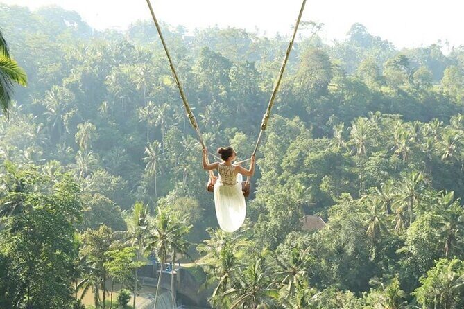 Bali Private Car Hire with English-Speaking Driver - Sacred Monkey Forest Sanctuary: temples, forest paths, and macaques