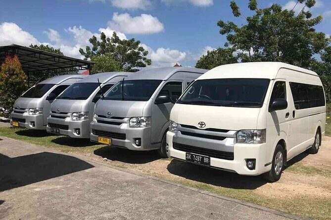 Bali Private Car Hire with English-Speaking Driver - Tegalalang Rice Terrace: big views, but ticket costs extra