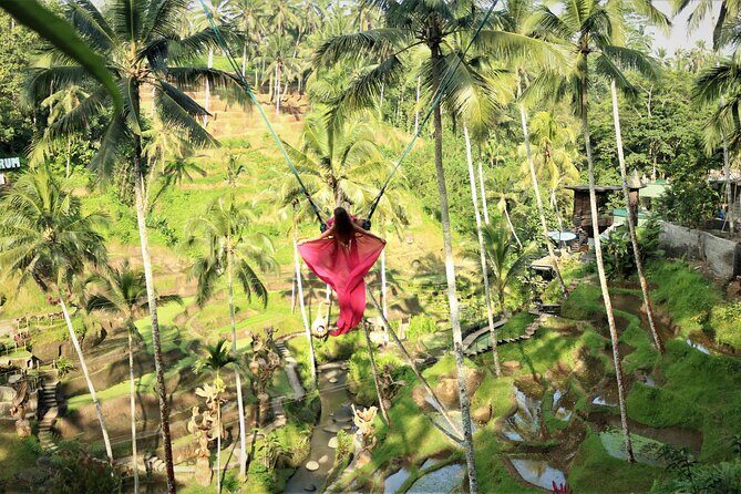 Bali Private Full Day Tour to Visit the Best Waterfalls and Swing near Ubud - Stop 4: The Terrace River Pool swing area near Ubud