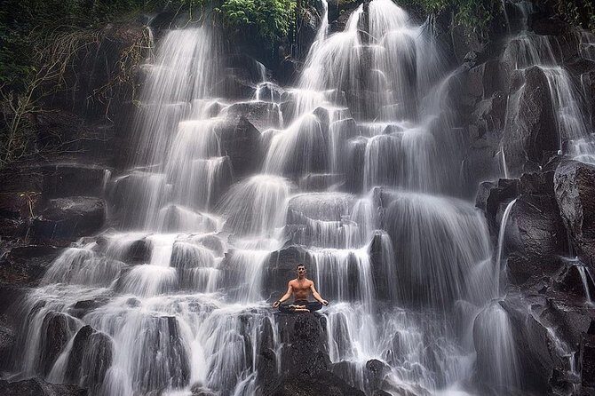 Bali Private Full Day Tour to Visit the Best Waterfalls and Swing near Ubud - Stop 5: Tegalalang rice terraces for fast scenery and craft shopping