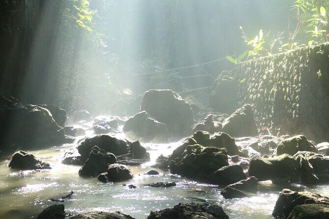 Bali Private Full Day Tour to Visit the Best Waterfalls and Swing near Ubud - Stop 6: Bali Pulina coffee plantation, farming and processing in an hour