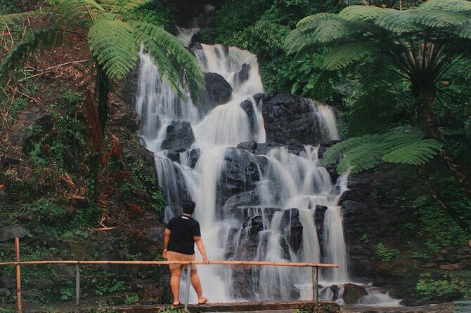 Bali : Private Fullday trip, Discover North Bali Destination - Fruit markets, coffee plantation options, and local culture talk