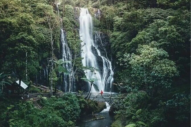Bali Private Tour: Handara Iconic Gate, Watefall and Temple - Price and value: what $65.93 covers and why it matters