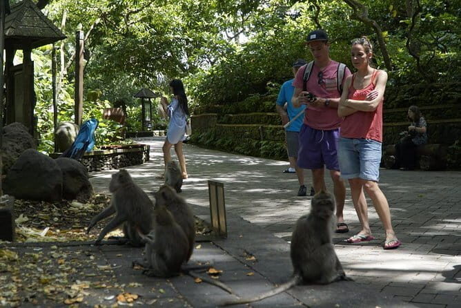 Bali Private Tour Waterfall with Tanah Lot Temple - Getting around Seminyak: comfort, distance, and the real pace