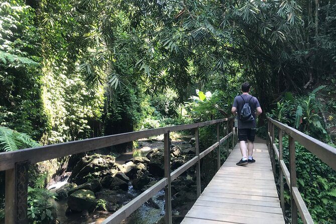 Bali Quad Adventure with Waterfall Tour - Tibumana Waterfall: jungle walking, butterflies, and a second refresh