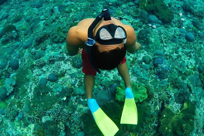Bali Reef Cruise and Lembongan Island Day Trip - The Bali Hai II catamaran experience (and what to watch for)