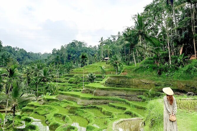 Bali Shore Excursions : Best of Bali Tour - Entrance fees upgrade: when it’s worth paying once