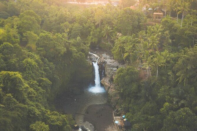 Bali Shore Excursions : Best of Bali Tour - Getting from the port: the quiet superpower