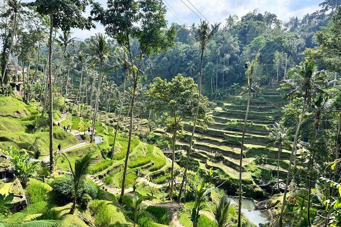 Bali Spiritual: Balinese Healing, Temple & Rice Terrace - Tegalalang Rice Terrace: When to Wander and How to Avoid Feeling Rushed