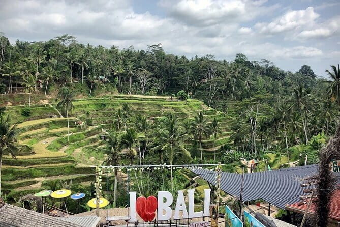 Bali Swing Packages and Kintamani Mt Batur Volcano View - Real Bali Swing: the included swing set (and how to pick your comfort level)