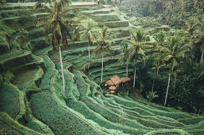 Bali Tour Customized With Local Guide - Why Vw’s Driver-Guide Style Matters More Than You Think