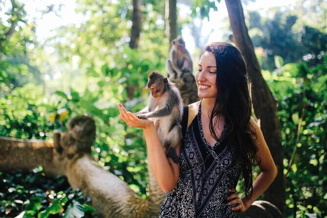 Bali: Ubud (Temple, Spring, Rice Terraces, & Waterfall) - How the day flows: 8–10 hours across Ubud’s top stops
