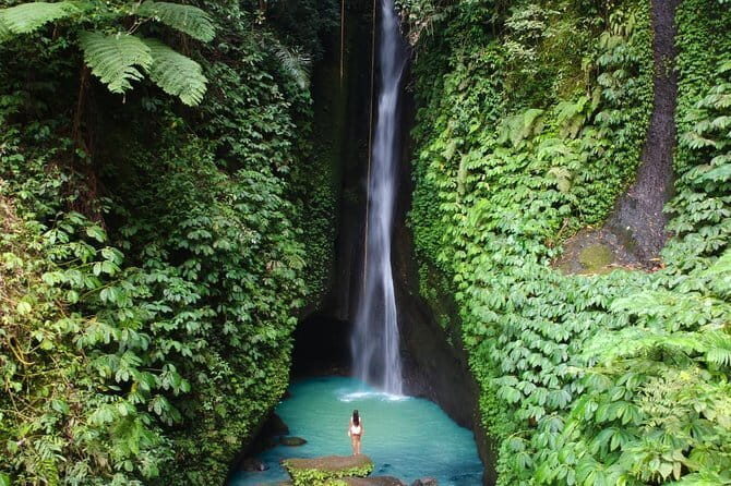 Bali: Ubud (Temple, Spring, Rice Terraces, & Waterfall) - Lunch at Kawi Resto Pool and Bar with rice-terrace views