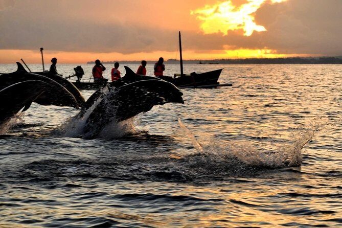 Bali Watching Dolphin at Lovina Beach & aling aling waterfall - Key highlights worth getting excited about
