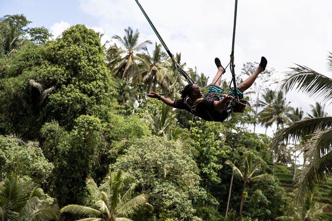 Bali White Water Rafting with Sacred Monkey Forest and Swing - Sangeh Monkey Forest: Ancient Nutmeg Trees and Close-Up Macaques