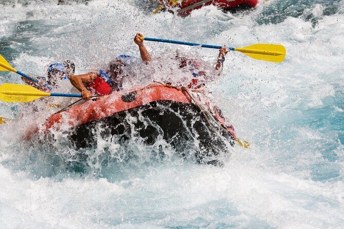 Bali White Water Rafting with Sacred Monkey Forest and Swing - Who This Bali Adventure Day Fits Best