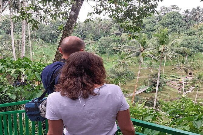 Banyumala Waterfall, Jatiluwih, Ulun Danu and Tanah Lot tours - Banyumala Twin Waterfalls: clear calm water and the chance to swim