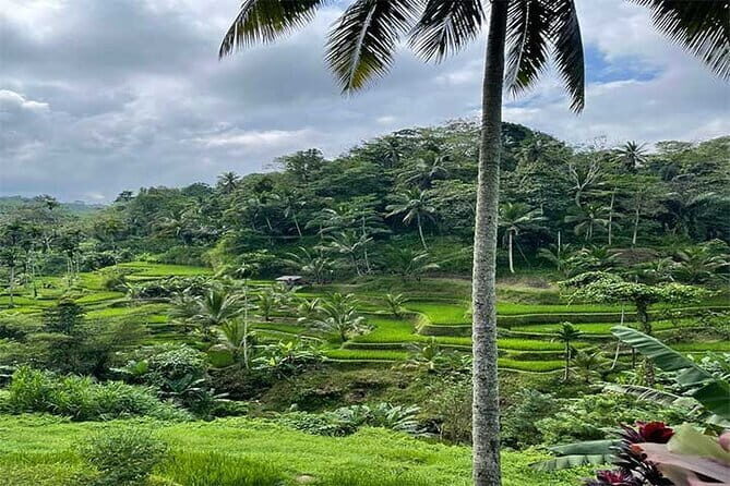 Banyumala Waterfall, Jatiluwih, Ulun Danu and Tanah Lot tours - Tanah Lot Temple: the sea-rock silhouette you came for