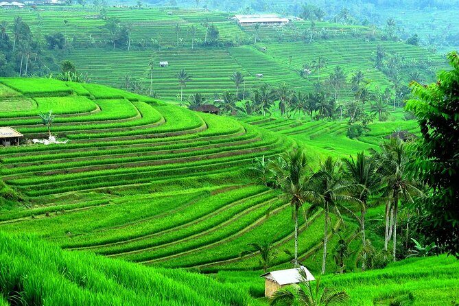 Beratan , lake side temple tour , all inclusive - Jatiluwih Green Land: UNESCO rice terraces for slow looking