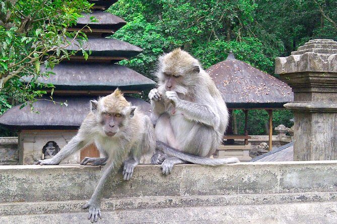 Best Bali Package Tour: 4 Days with Airport or Hotel Transfer - A 4-Day Bali Plan With Private Transfers From Airport or Your Hotel