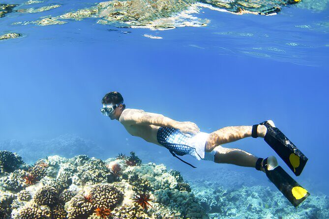 Best Bali Snorkeling at Blue Lagoon Beach: All-Inclusive - Boat transfers, instructor help, and the gear you won’t have to pack