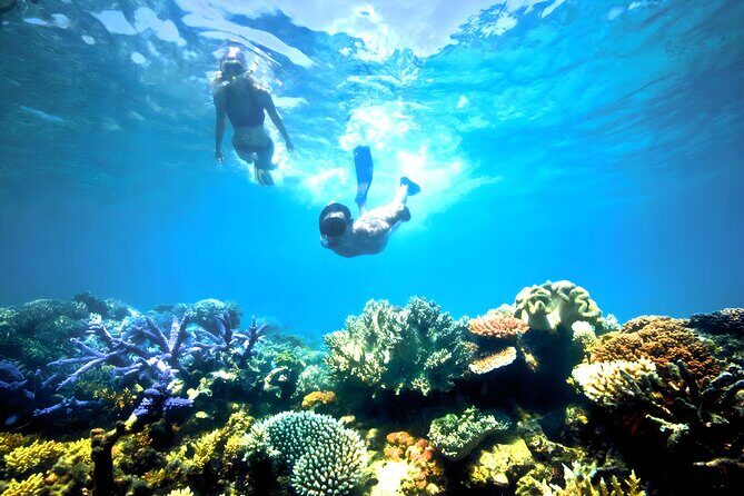 Best Bali Snorkeling at Blue Lagoon Beach: All-Inclusive - Your day plan from Seminyak pickup to two reef visits