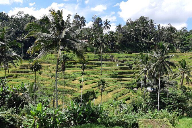 Best Bali Ubud Full Day All-Inclusive Private Tour - Key highlights at a glance