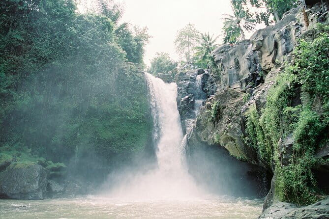 Best Day Tour - #3 World Cleanest Traditional Village - Pickup at 8:00 and Why Early Matters in Bali