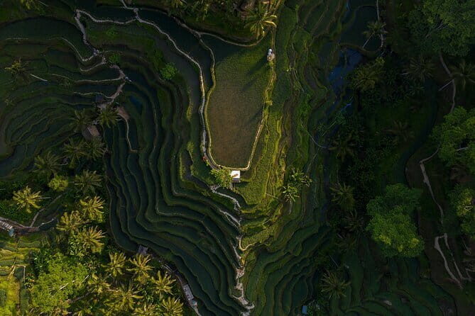 Best Day Tour - #3 World Cleanest Traditional Village - Tegenungan Waterfall: Green Views and a Choose-Your-Distance Walk